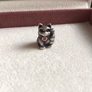 Cat pandora charm